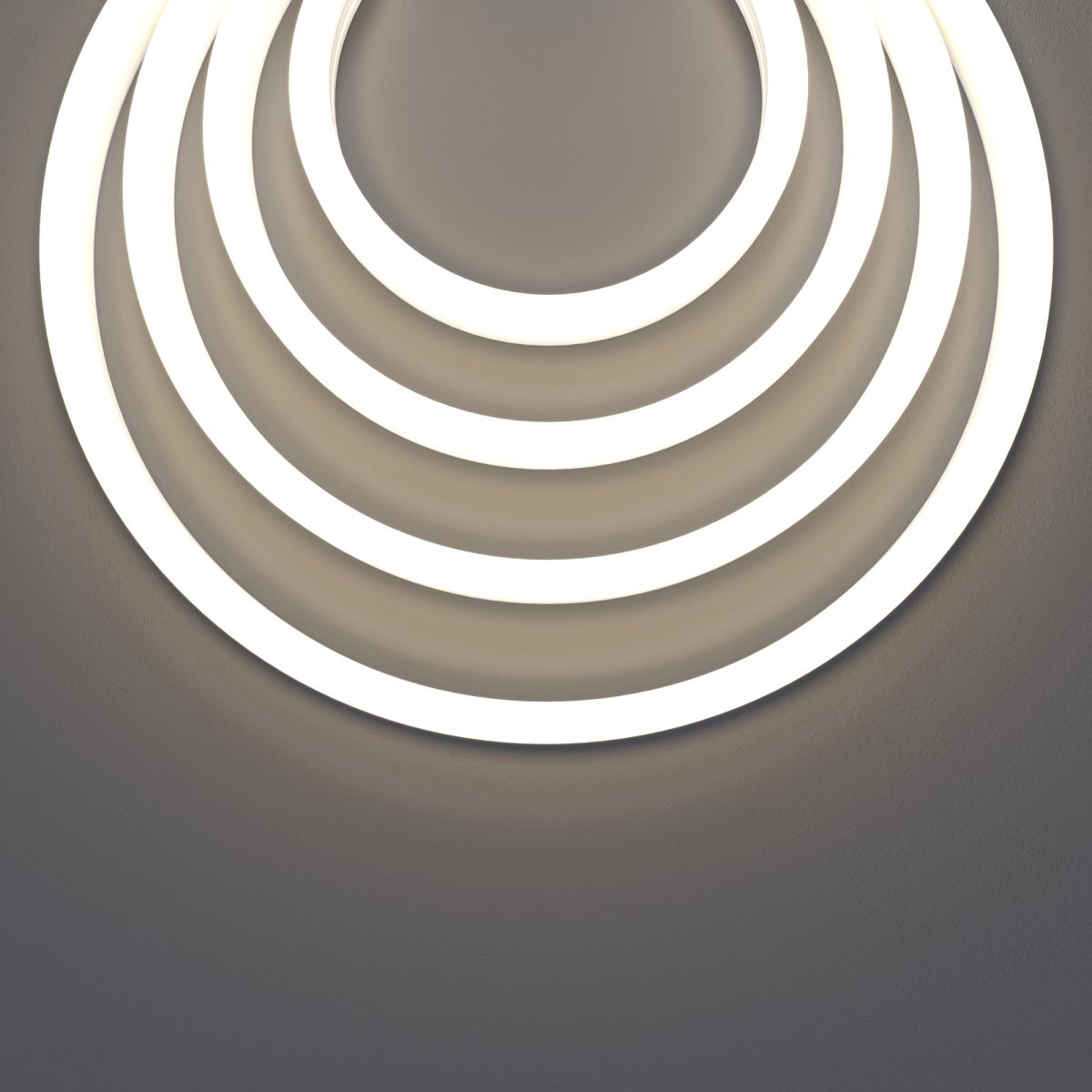 Гибкий неон Led strip 24В 10Вт/м 4000K 5м IP67 432002