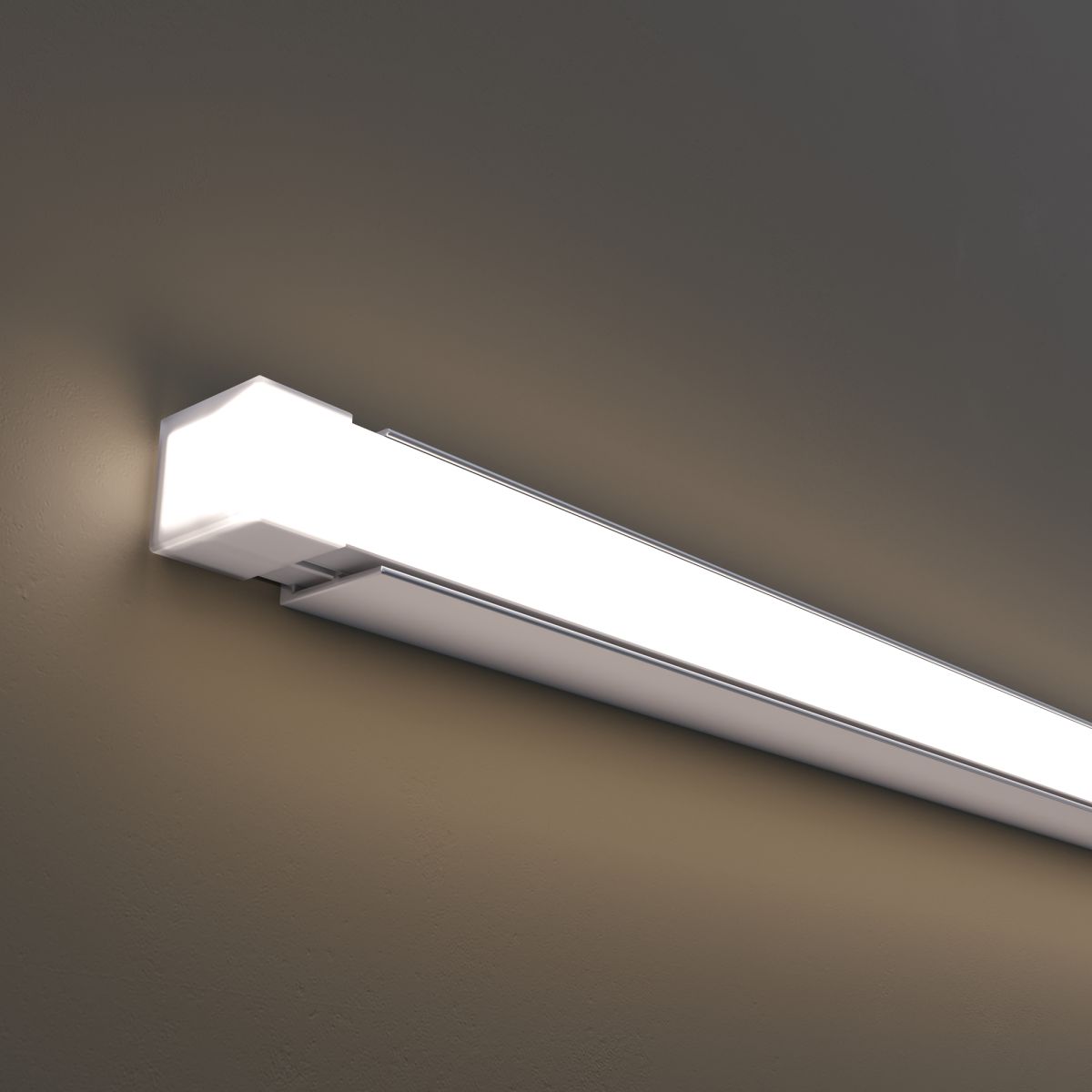 Гибкий неон Led strip 24В 12Вт/м 4000K 5м IP67 432023