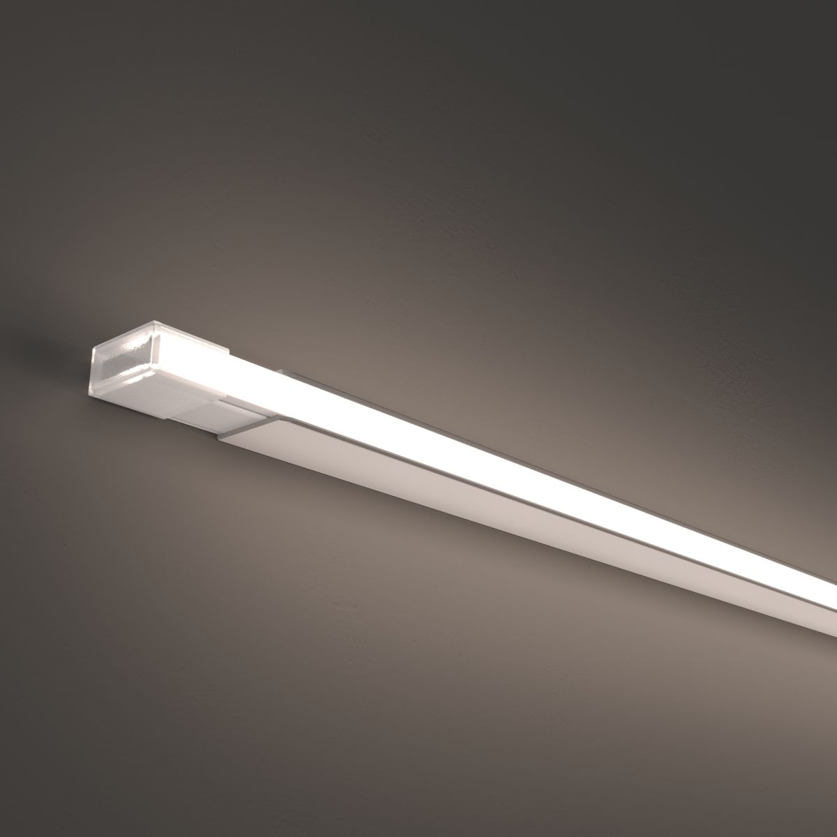 Гибкий неон Led strip 24В 10Вт/м 4000K 5м IP67 432030