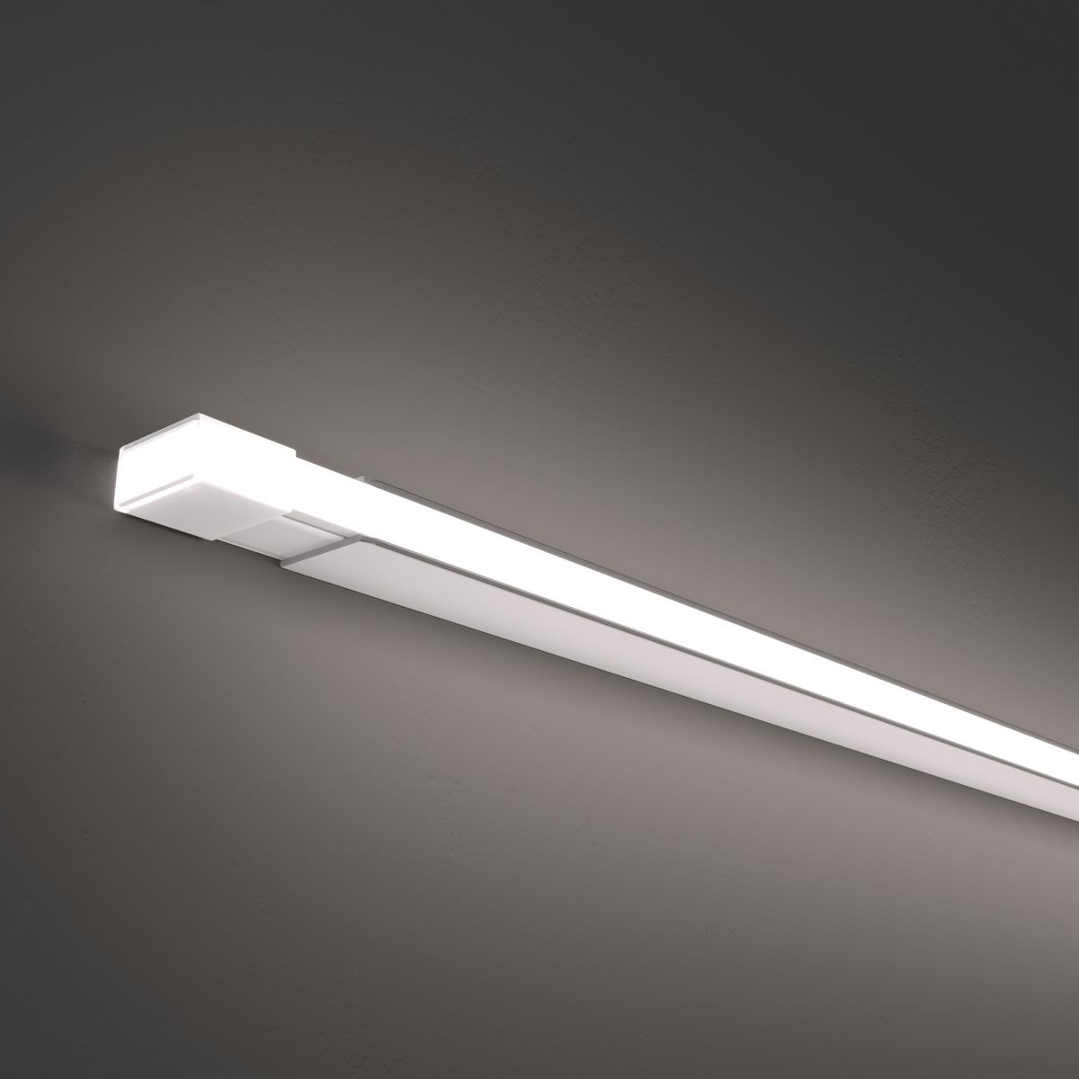 Гибкий неон Led strip 24В 10Вт/м 6000K 5м IP67 432031