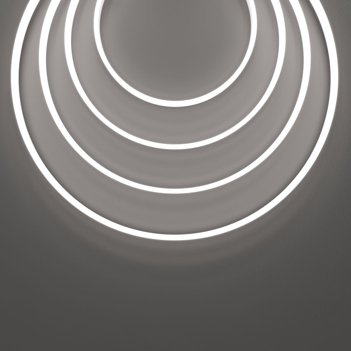 Гибкий неон Led strip 24В 10Вт/м 6000K 5м IP67 432031