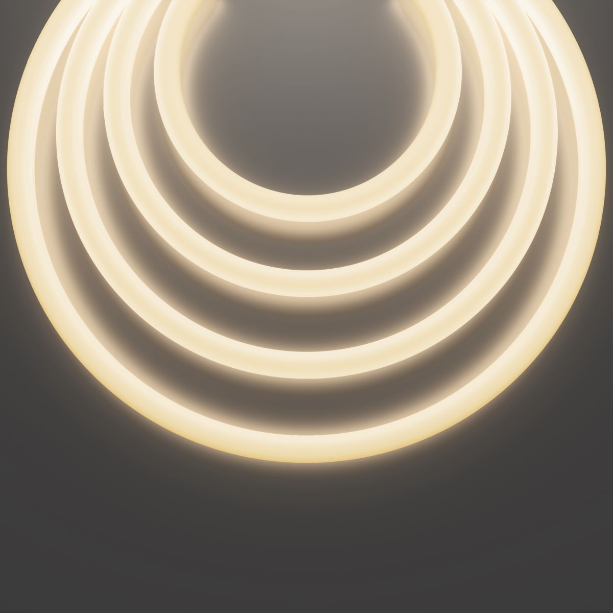 Гибкий неон Led Strip Nemo D25 48В 12,5Вт/м 3000К IP65 20м