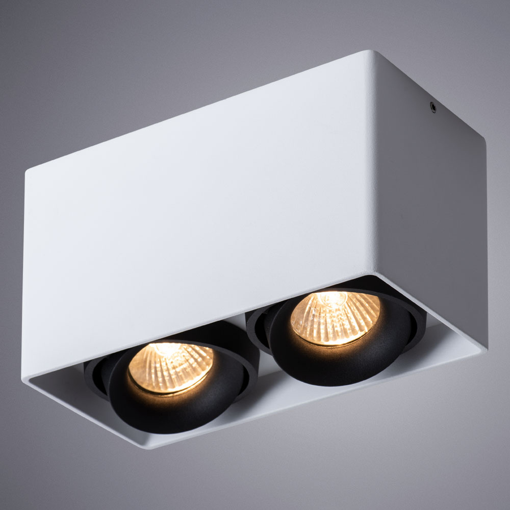 Потолочный светильник Pictor A5654PL-2WH