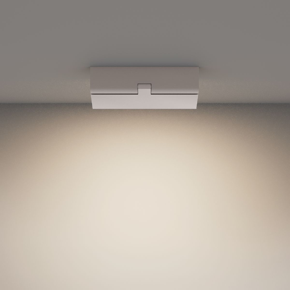 Настенно-потолочный светильник Basis Rot C133CL-12W4K-W
