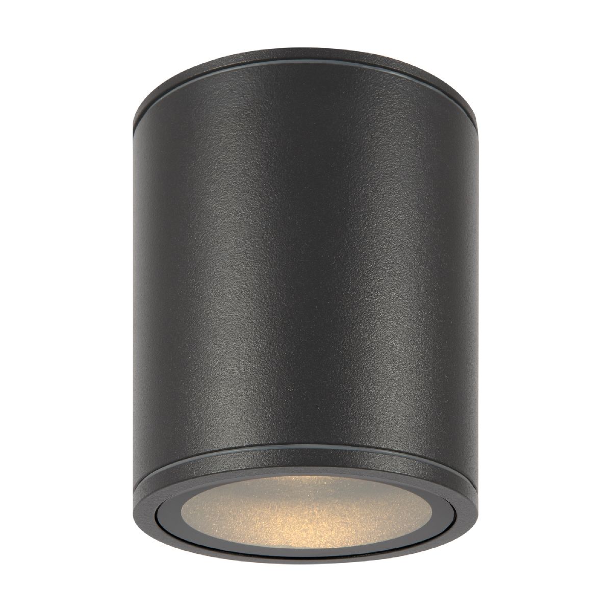 Уличный потолочный светильник Bar O306CL-L12GF