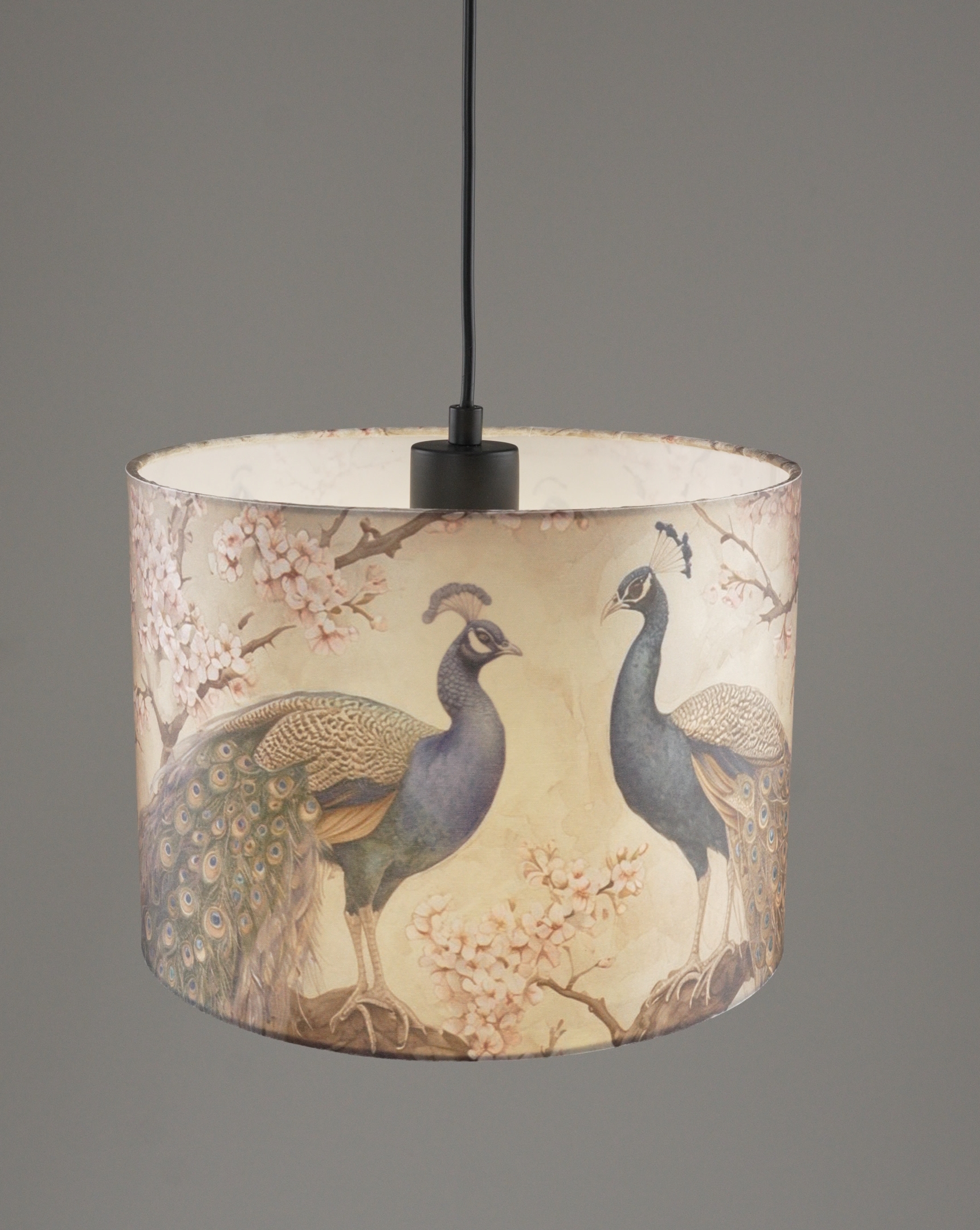 Светильник подвесной V11514-1P Strauss