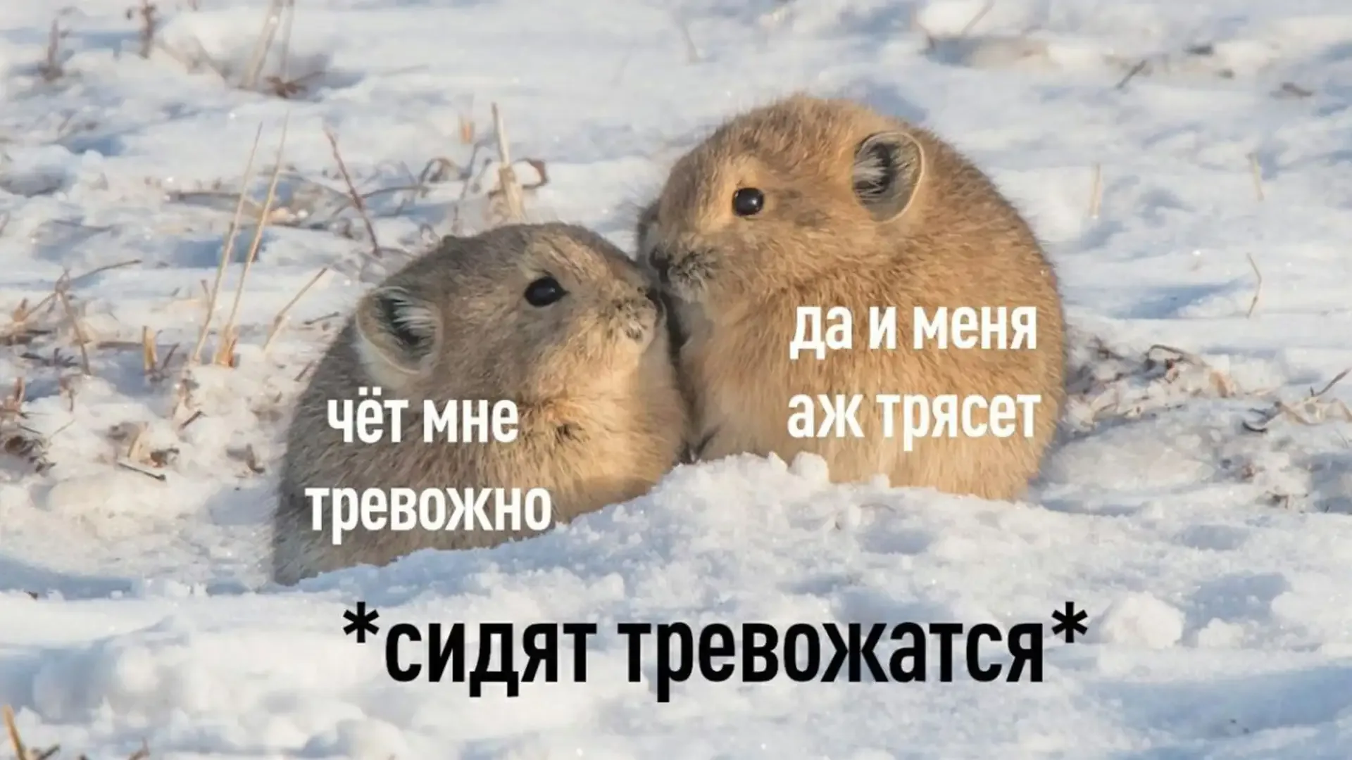 Причина тряски? Отключения интернета, конечно  Агенство КРОС, которое каждый квартал публикует рейти
