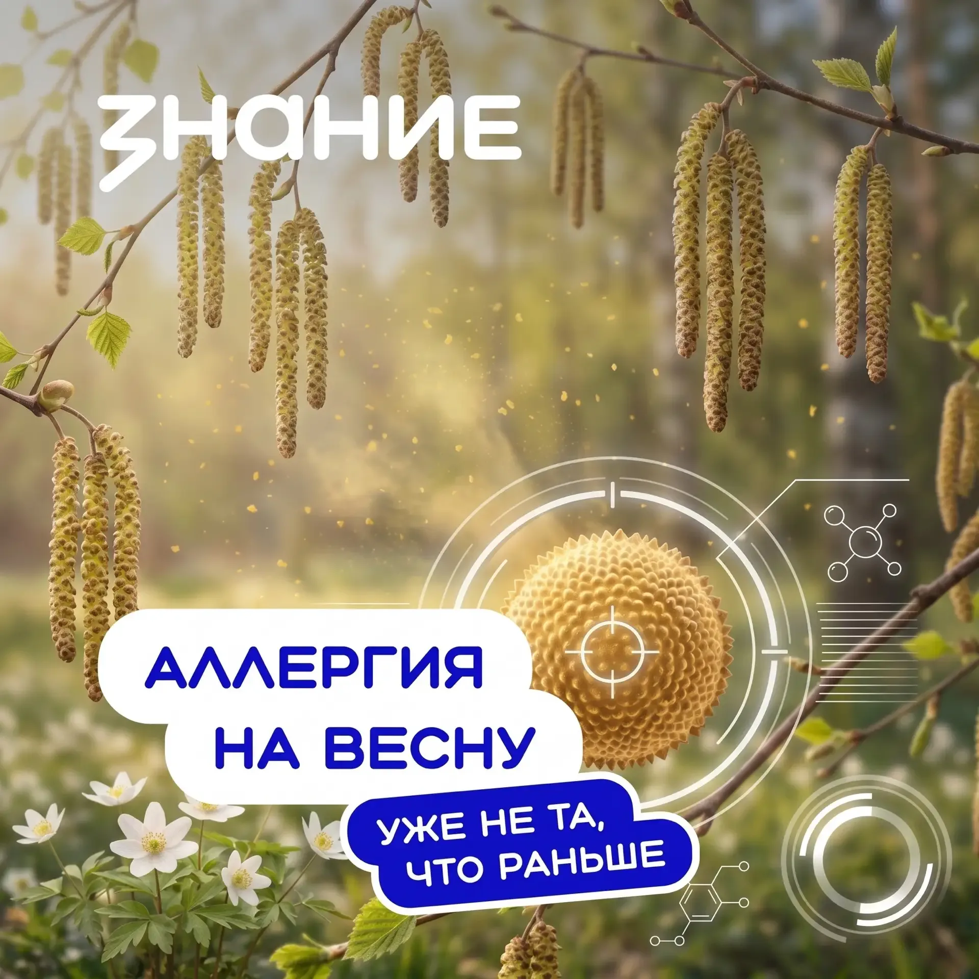 Весна всё чаще ощущается иначе — и дело не только в самочувствии 🤧  Во многом это связано с изменени