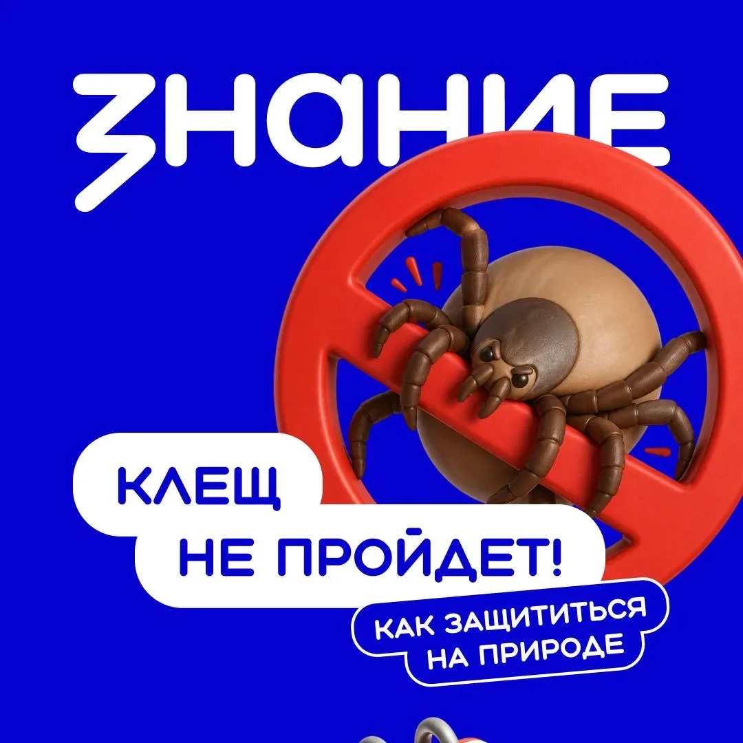 Отдых на природе кажется безопасным — пока не вспоминаешь о тех, кого почти невозможно заметить 🪲  К