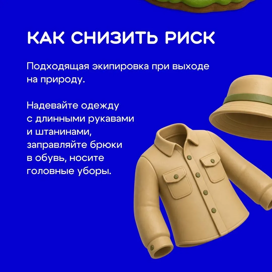 Отдых на природе кажется безопасным — пока не вспоминаешь о тех, кого почти невозможно заметить 🪲  К