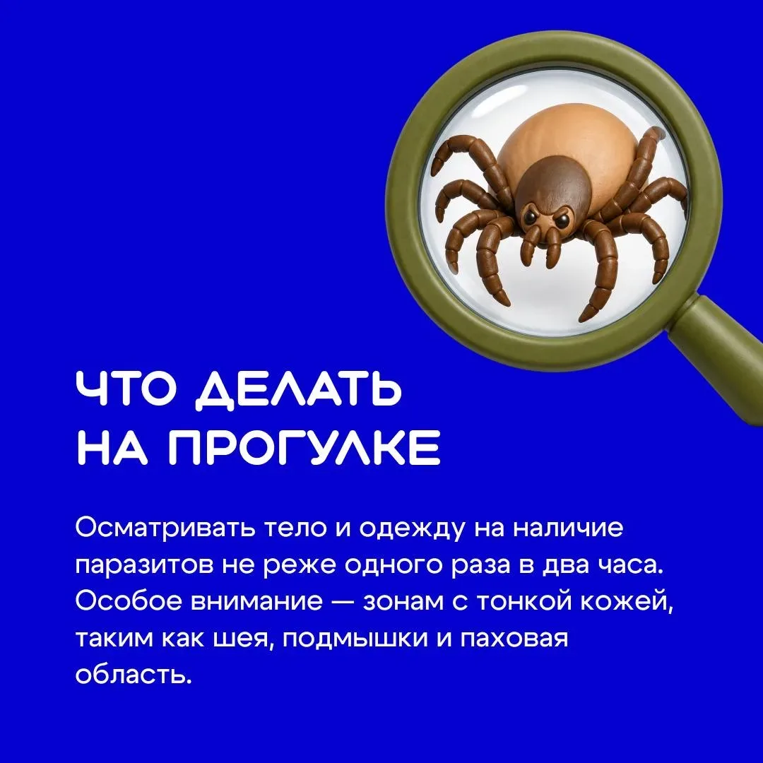 Отдых на природе кажется безопасным — пока не вспоминаешь о тех, кого почти невозможно заметить 🪲  К