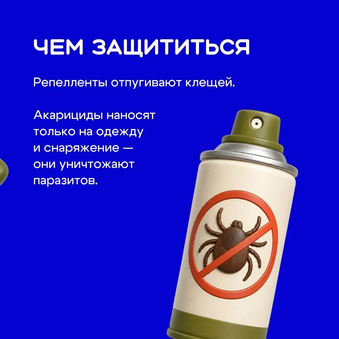 Отдых на природе кажется безопасным — пока не вспоминаешь о тех, кого почти невозможно заметить 🪲  К