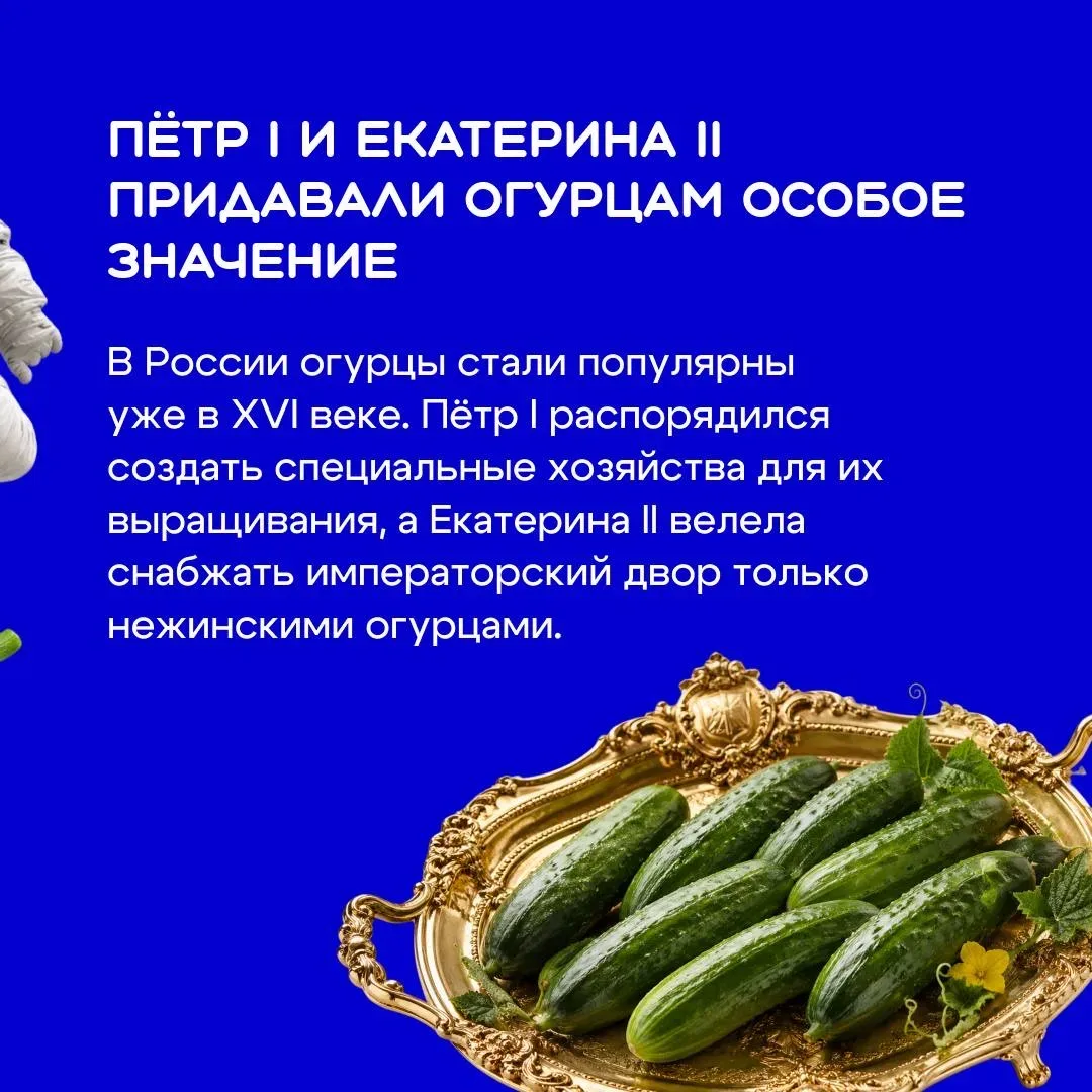 Огурец кажется самым простым овощем на тарелке 🥗 Но его выращивают уже более шести тысяч лет — и за 