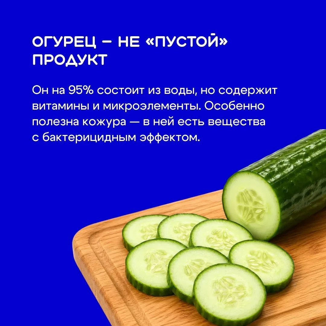 Огурец кажется самым простым овощем на тарелке 🥗 Но его выращивают уже более шести тысяч лет — и за 