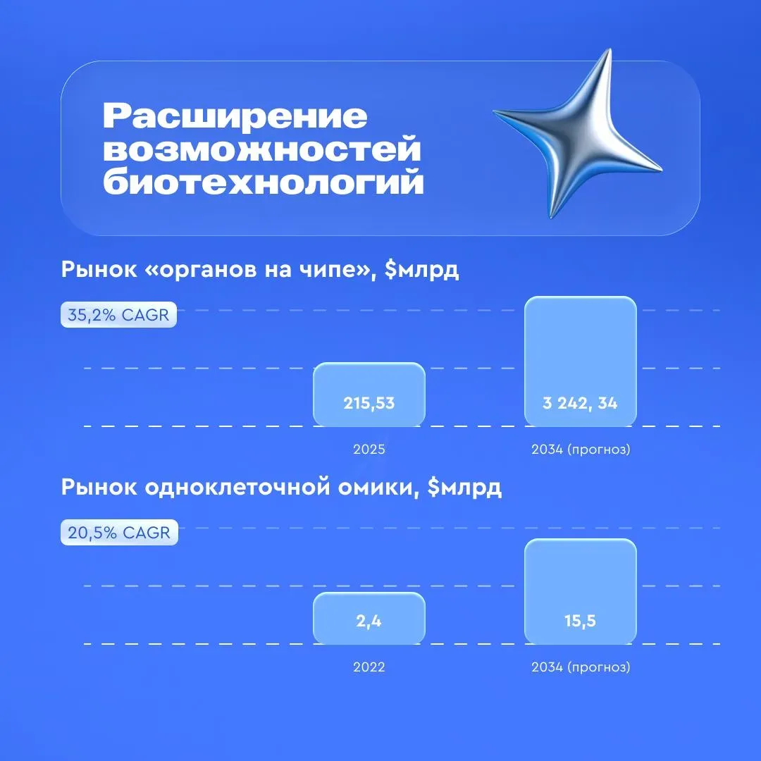 🤖 2026-й станет годом системной технологической перестройки бизнеса  Об этом говорится в новом анали