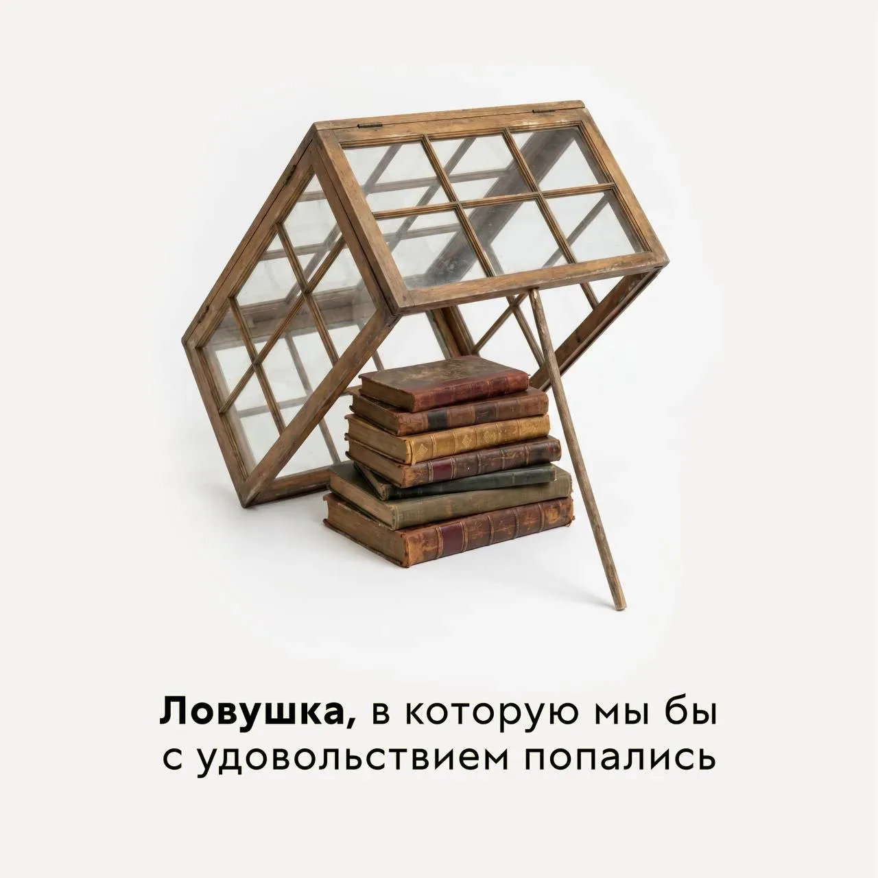 Осторожно, есть риск попасть в ловушку!  А вы бы тоже с удовольствием съели баночку бабушкиных огурц