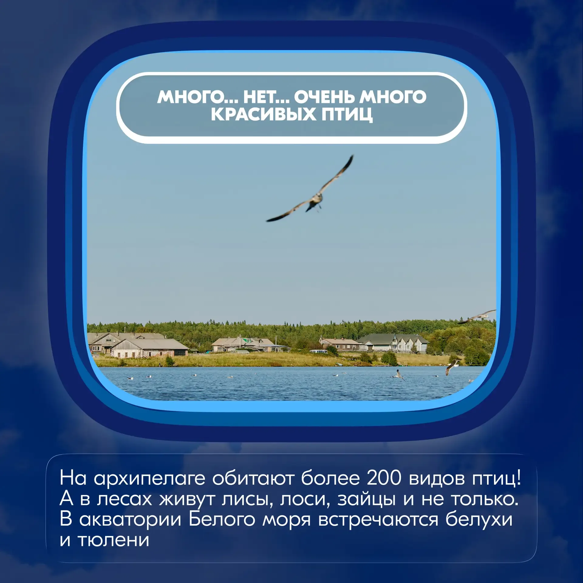 Если вы все ещё думаете о том, куда отправиться в путешествие, то этот пост для вас!  Собрали 5 прич