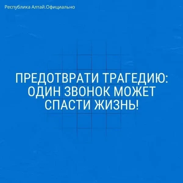 В Республике Алтай вознаграждение за информацию о пьяном водителе увеличили до 10 тысяч рублей  В Ре