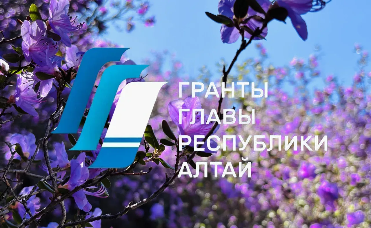 Начинаем прием заявок на конкурс грантов Главы Республики Алтай.   Некоммерческие организации могут 
