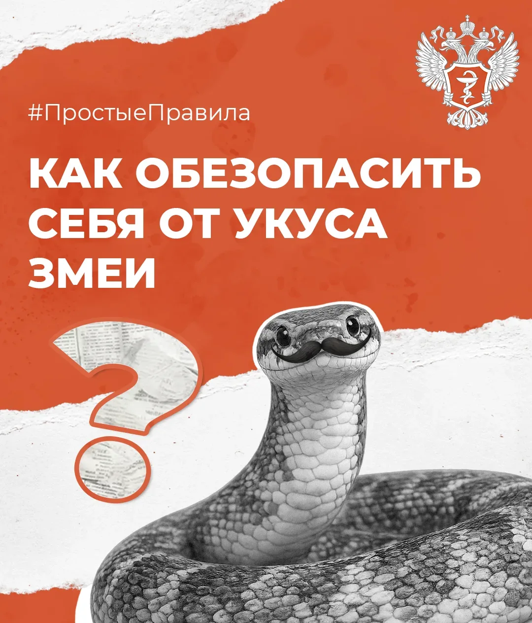 🐍 #ПростыеПравила: Как обезопасить себя от укуса змеи  Об этом рассказал доцент кафедры поликлиничес
