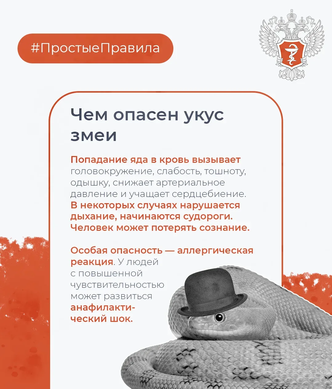 🐍 #ПростыеПравила: Как обезопасить себя от укуса змеи  Об этом рассказал доцент кафедры поликлиничес