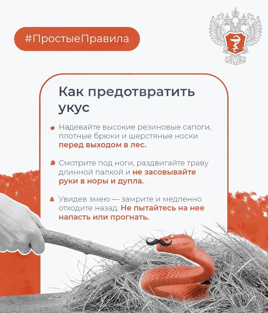 🐍 #ПростыеПравила: Как обезопасить себя от укуса змеи  Об этом рассказал доцент кафедры поликлиничес