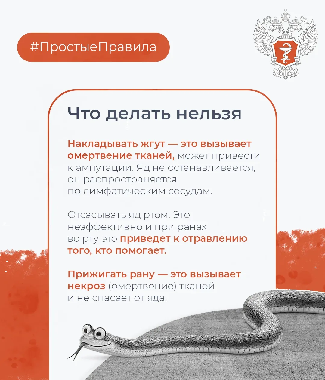 🐍 #ПростыеПравила: Как обезопасить себя от укуса змеи  Об этом рассказал доцент кафедры поликлиничес