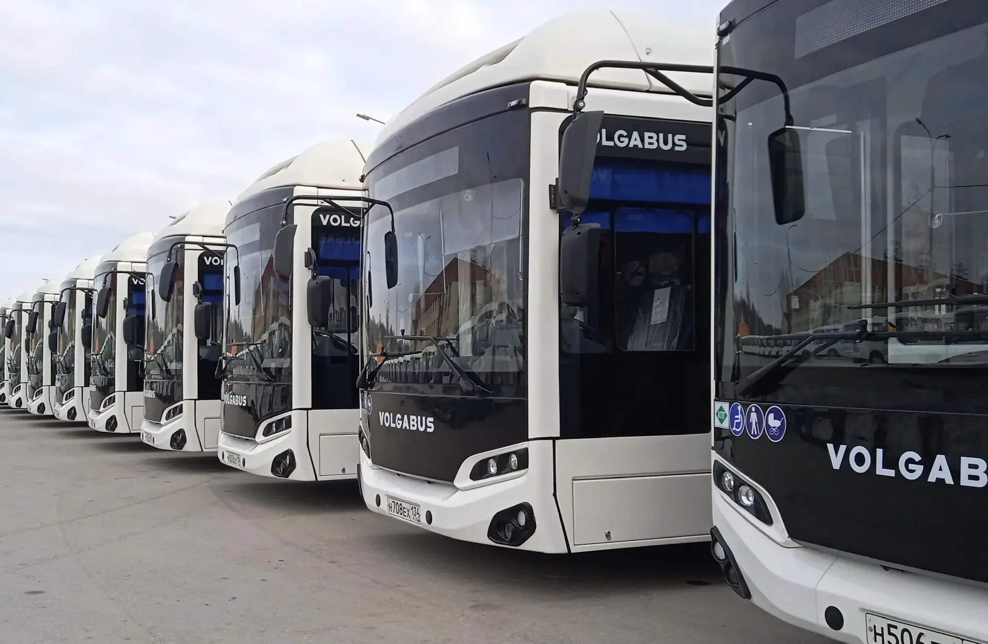 49 новых автобусов пополнят парк пассажирского транспорта Волгоградской области  Волгоградская облас