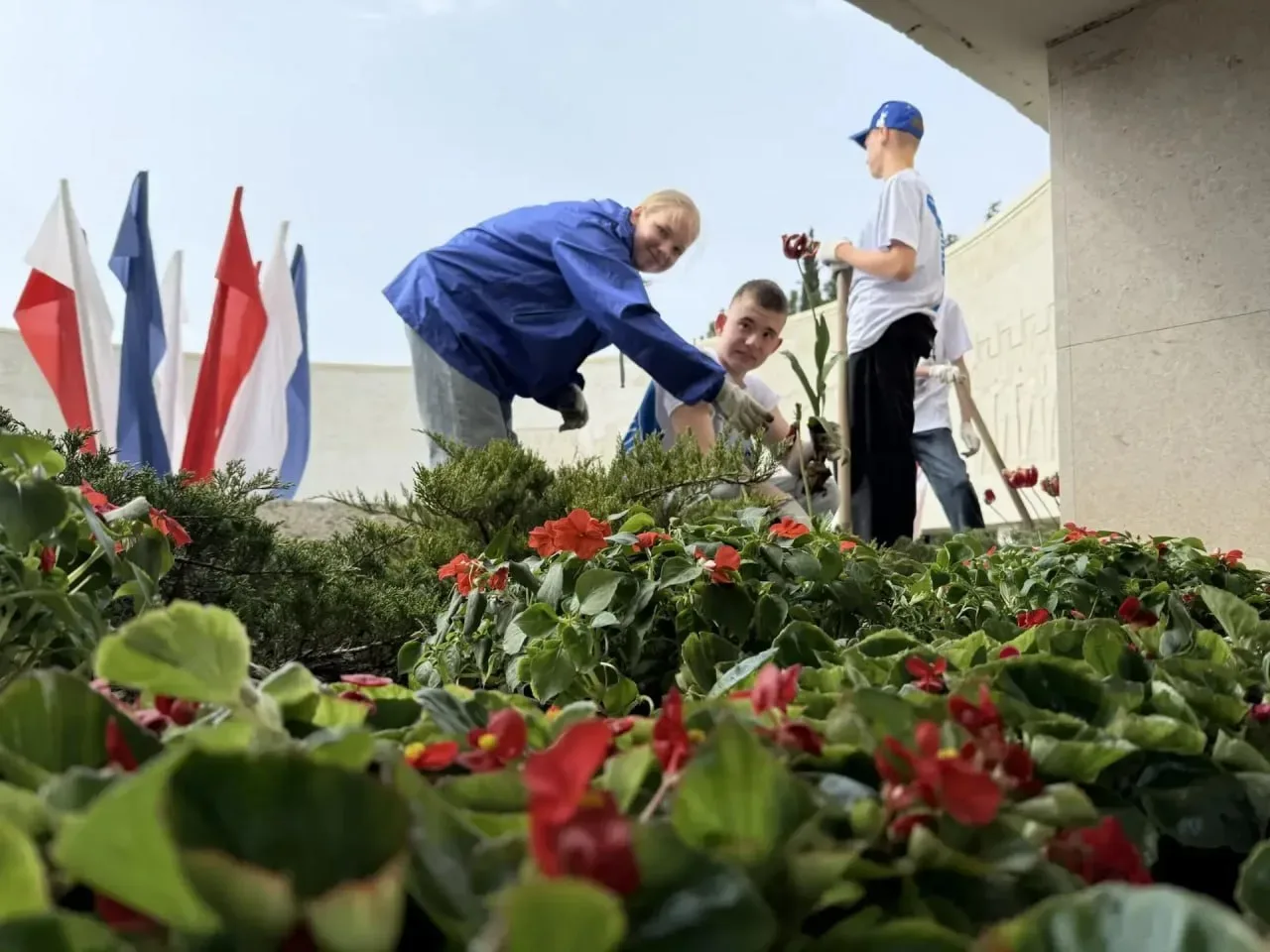 🌷 В Ялте высадили 1000 цветов на Холме Славы   Мемориальный комплекс украсили бегониями в рамках акц