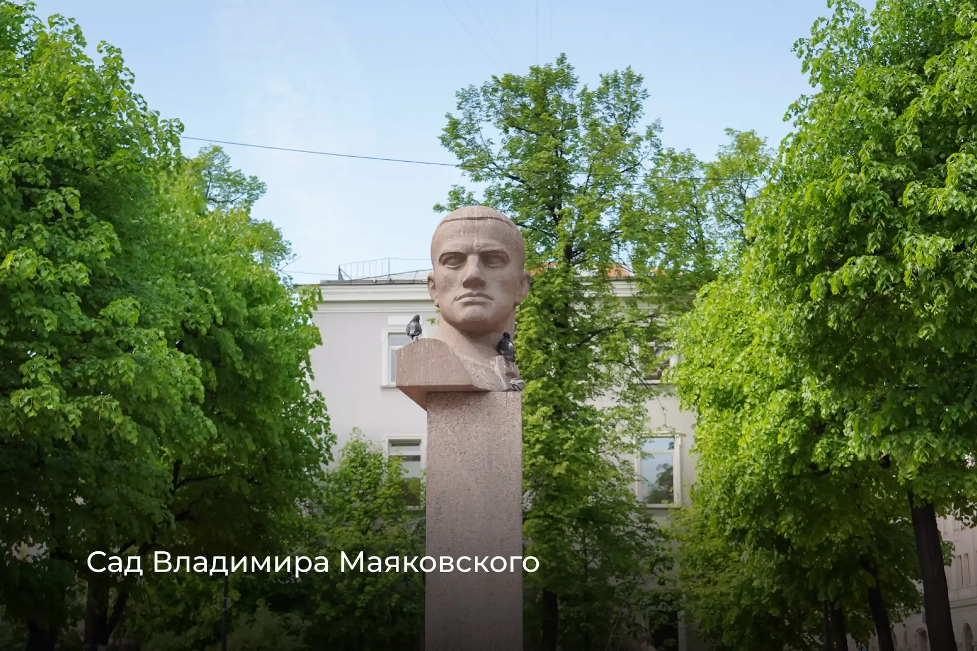 Приняли решение присвоить наименования безымянным территориям зелёных насаждений общего пользования.
