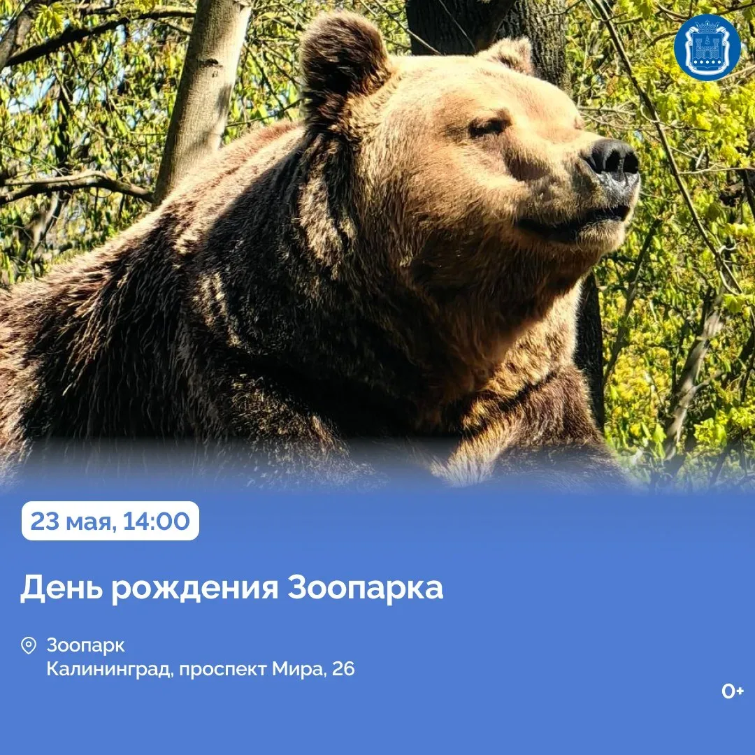 С 24 мая в регионе пройдёт Всероссийская неделя семьи.   Во всех муниципалитетах для гостей подготов
