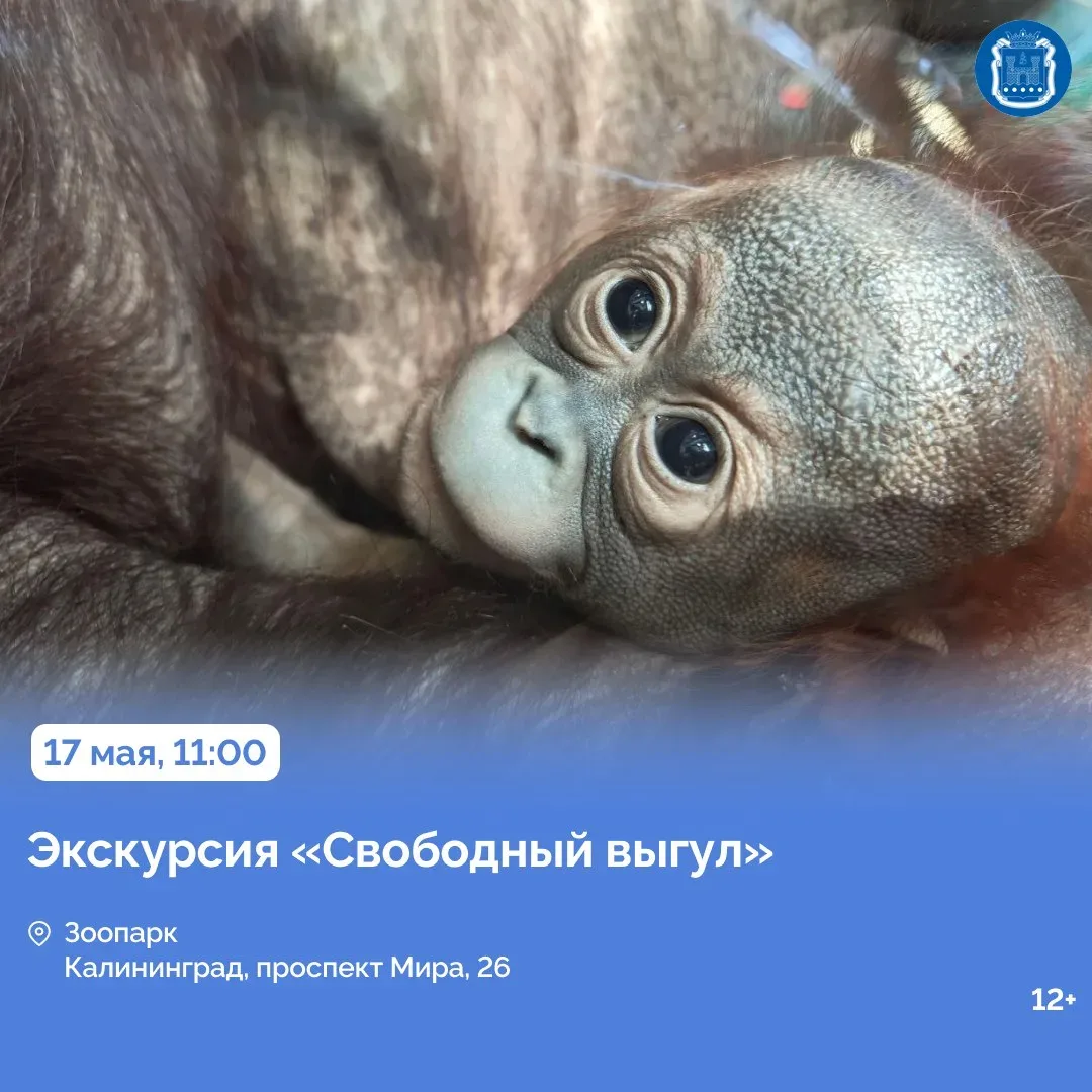 15-16 мая в регионе проходит всероссийская акция «Музейная ночь».  В этом году её посвятили теме «Ро