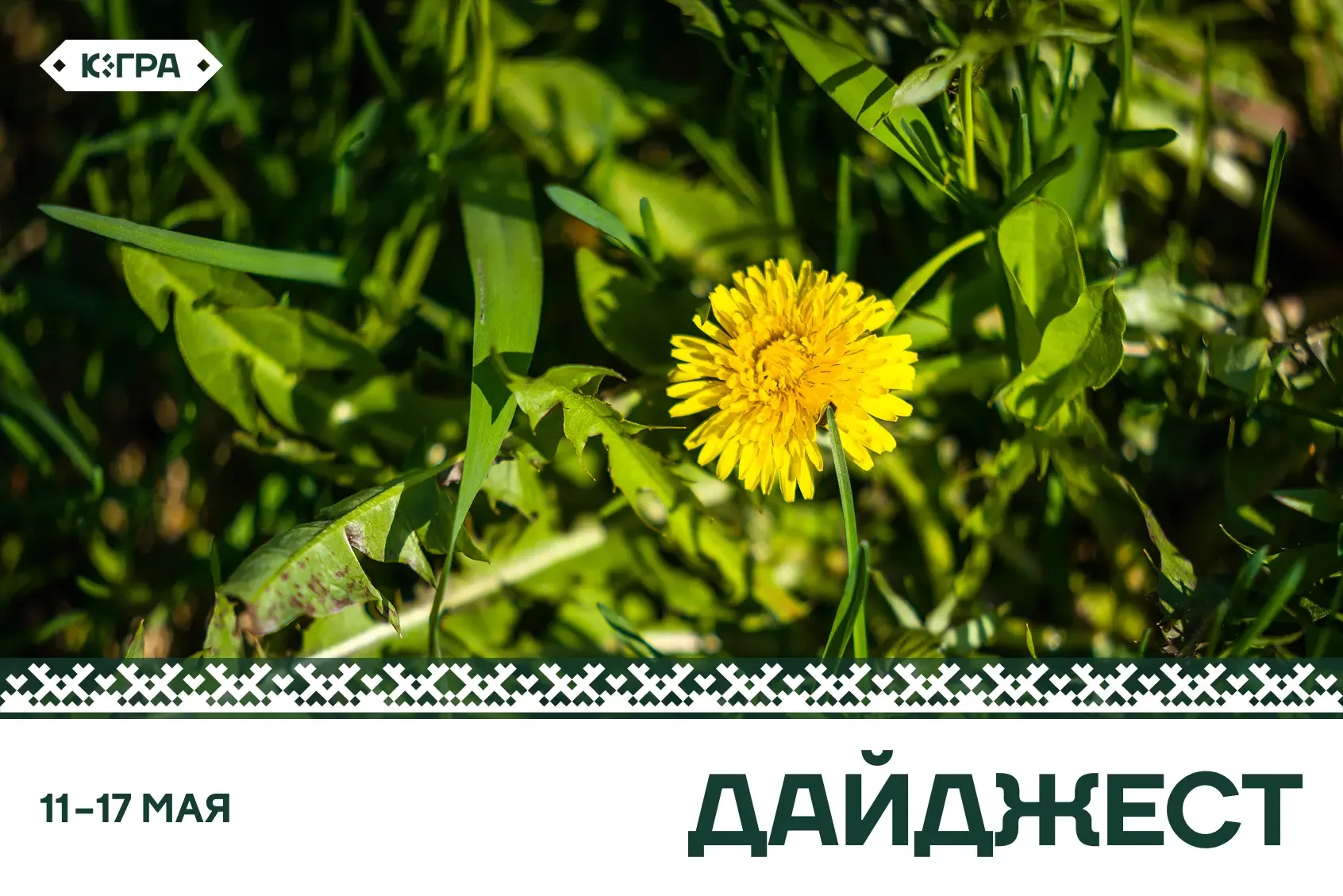 За минувшую неделю Югра преобразилась: в округ пришло тепло, зазеленели газоны, из почек выглянули п