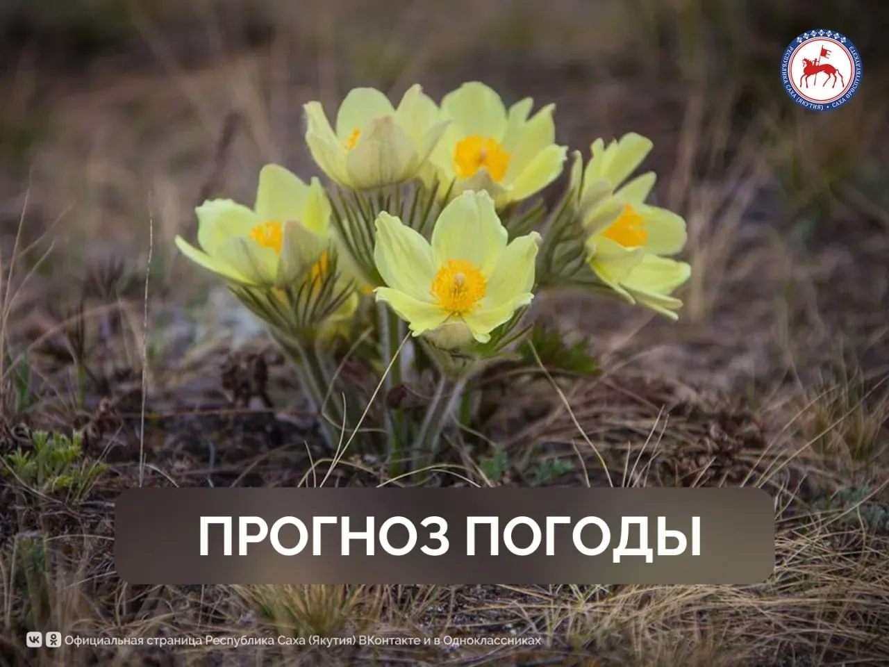 ☀️ Прогноз погоды на территории Республики Саха (Якутия) на 13 мая  На западе, Колыме, юго-востоке п