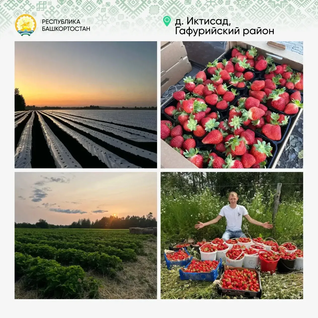 «Предпринимательские часы», которые главы и бизнес-шерифы наших муниципалитетов проводят каждый четв