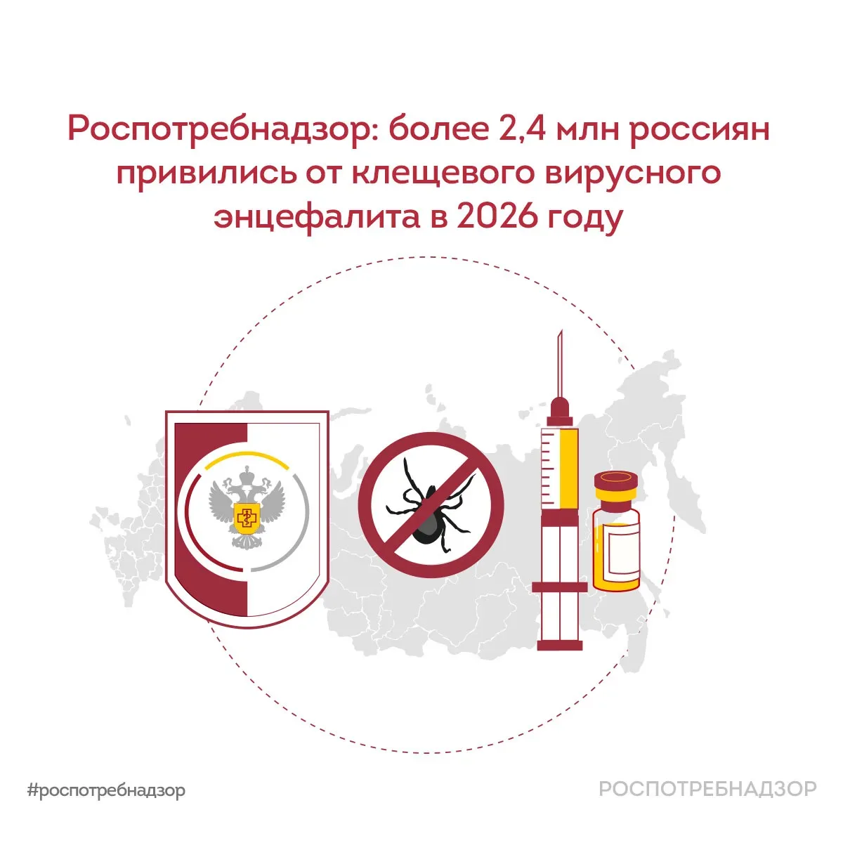 В России в 2026 году от клещевого вирусного энцефалита (КВЭ) привились более 2,4 млн человек. С нача
