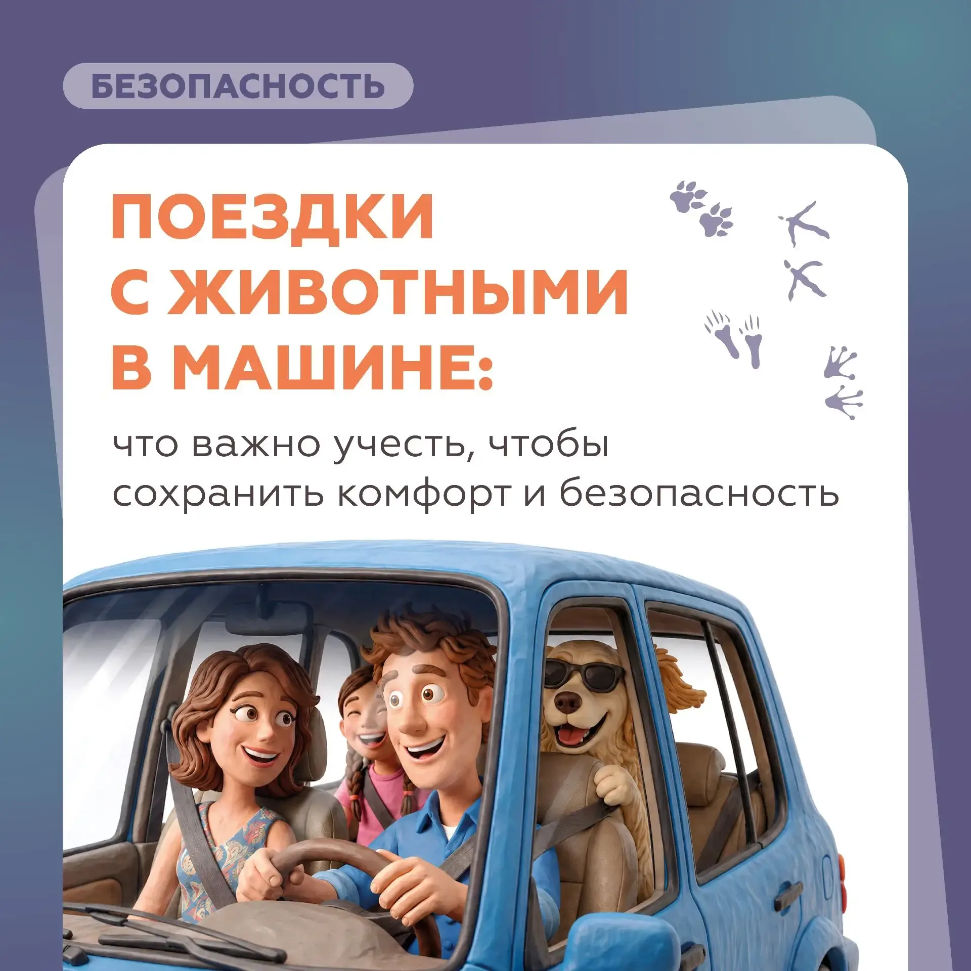 Собираетесь в путешествие на автомобиле с домашними питомцами?   В этом случае очень важно знать пра