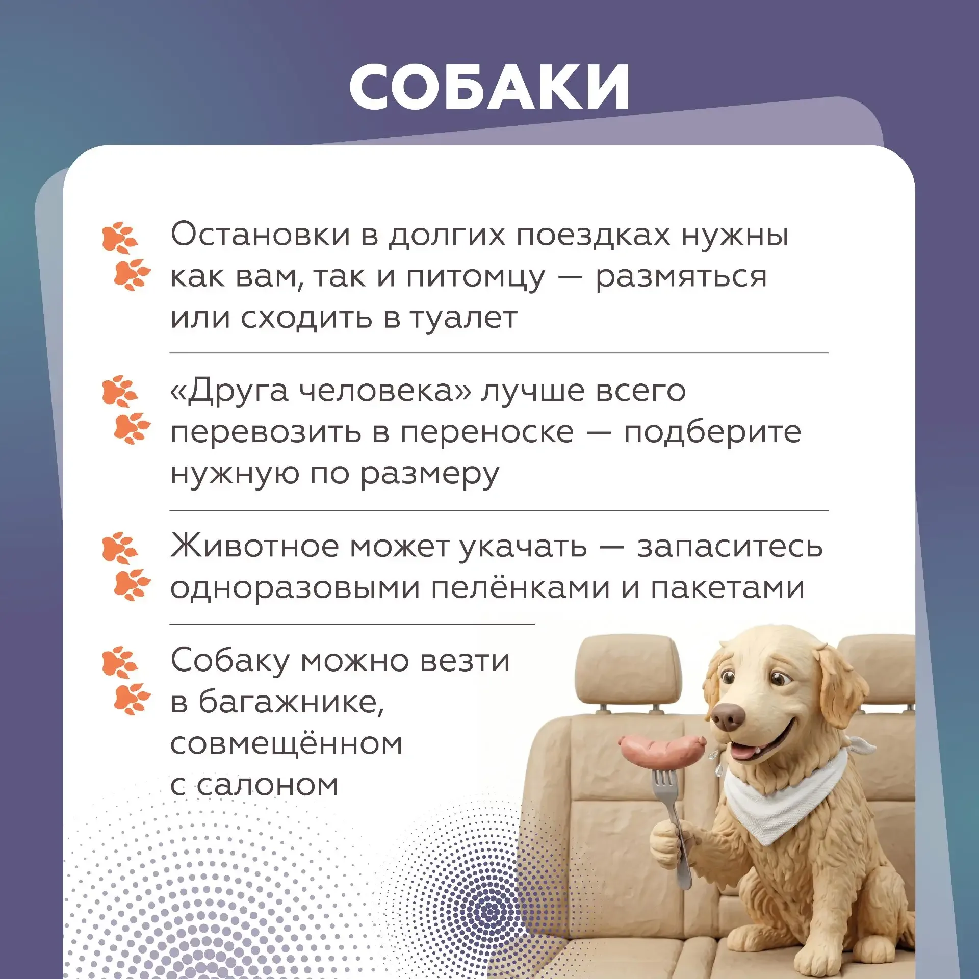 Собираетесь в путешествие на автомобиле с домашними питомцами?   В этом случае очень важно знать пра