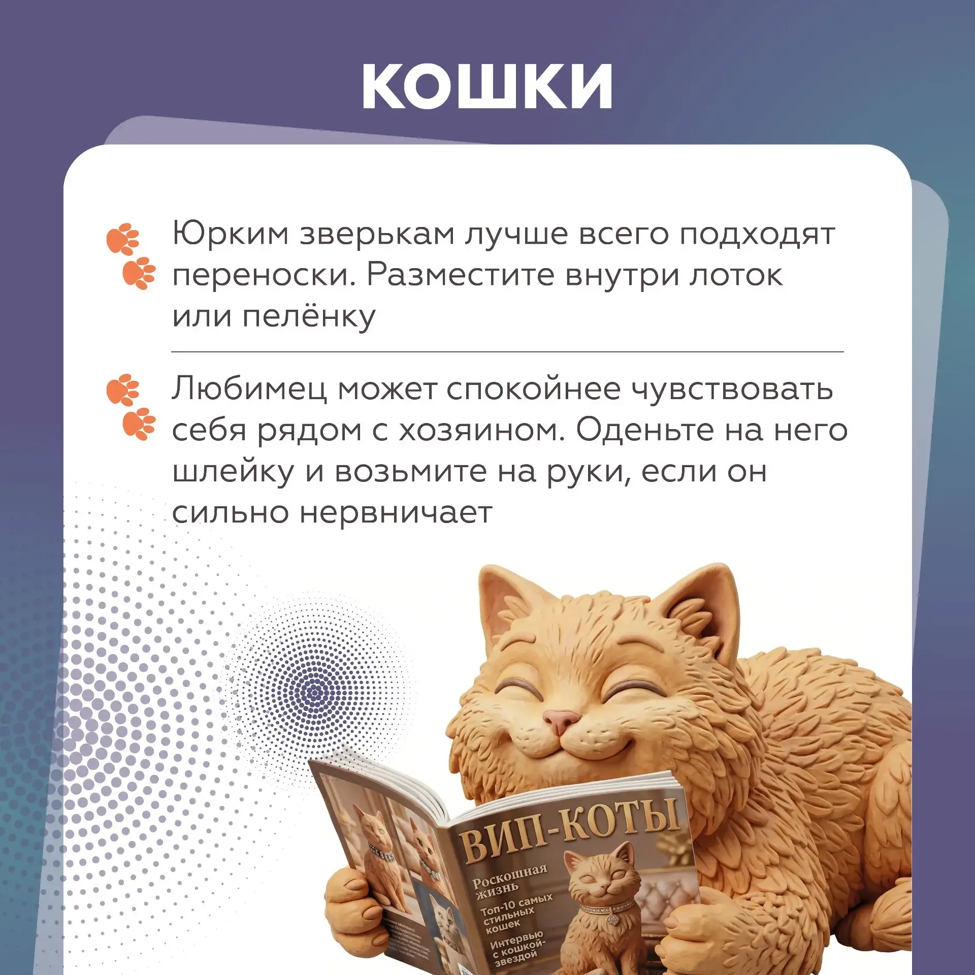 Собираетесь в путешествие на автомобиле с домашними питомцами?   В этом случае очень важно знать пра