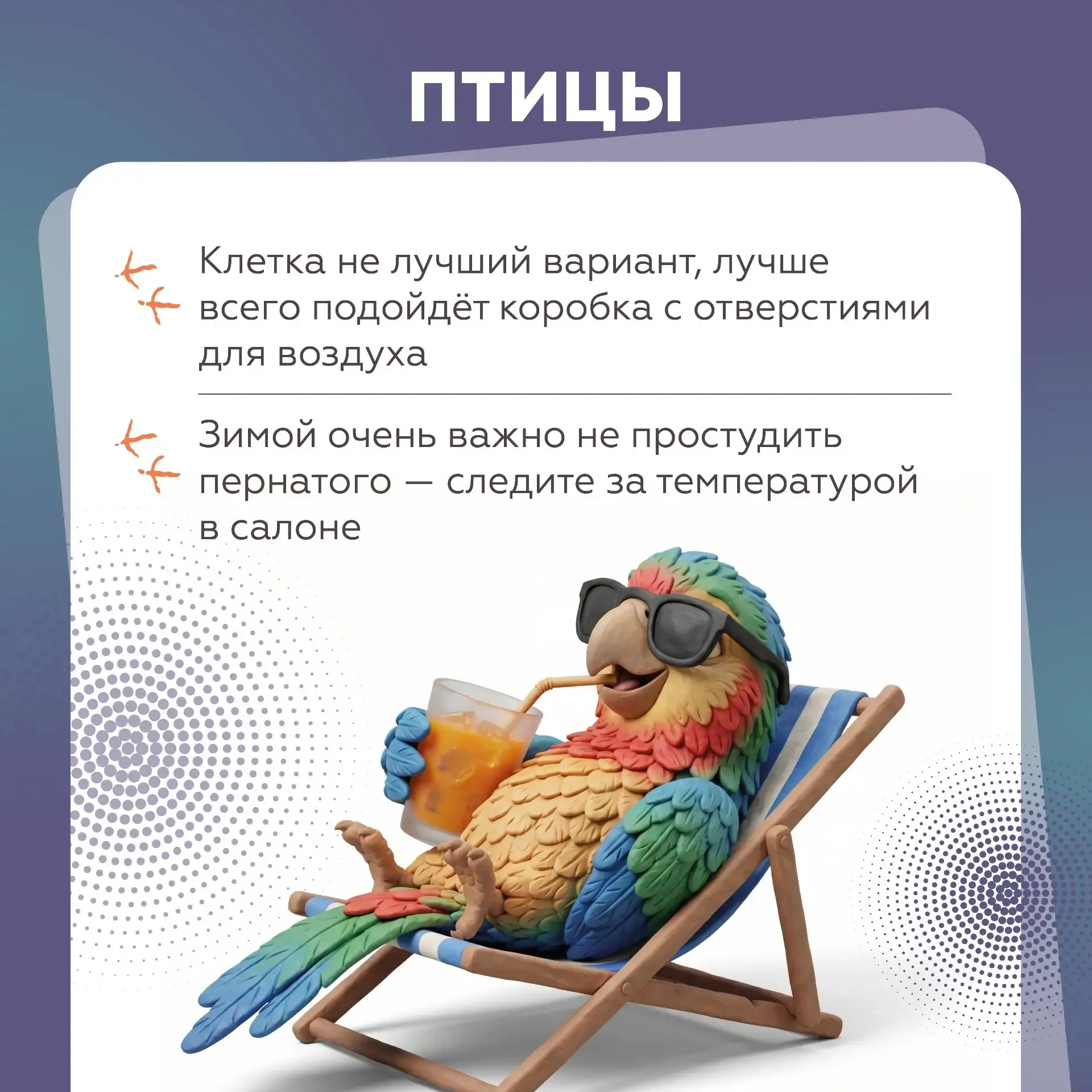 Собираетесь в путешествие на автомобиле с домашними питомцами?   В этом случае очень важно знать пра
