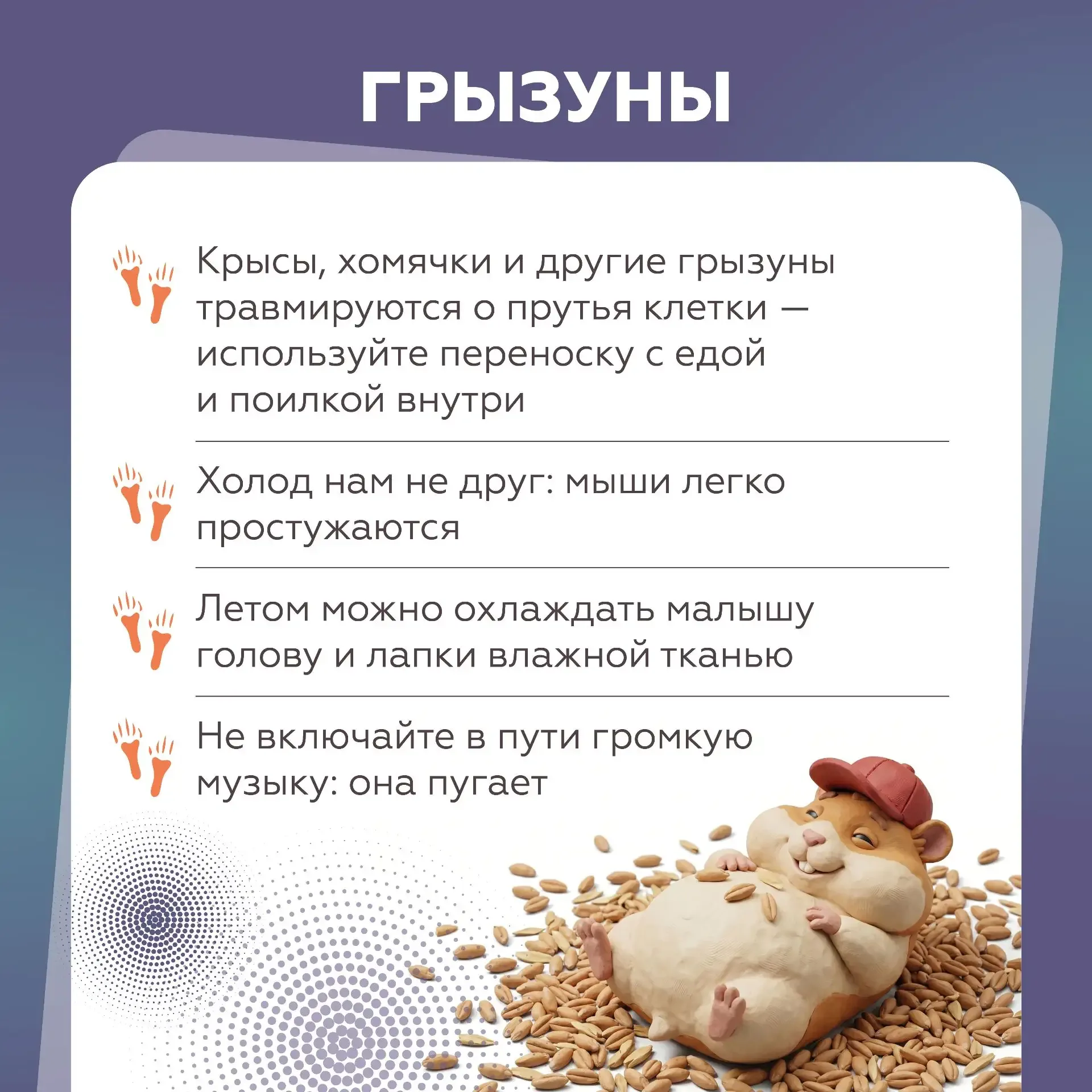 Собираетесь в путешествие на автомобиле с домашними питомцами?   В этом случае очень важно знать пра