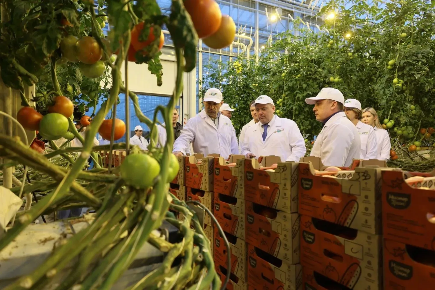 🌱Посетил крупнейшее в Свердловской области производство овощей закрытого грунта. В поселке Садовый в