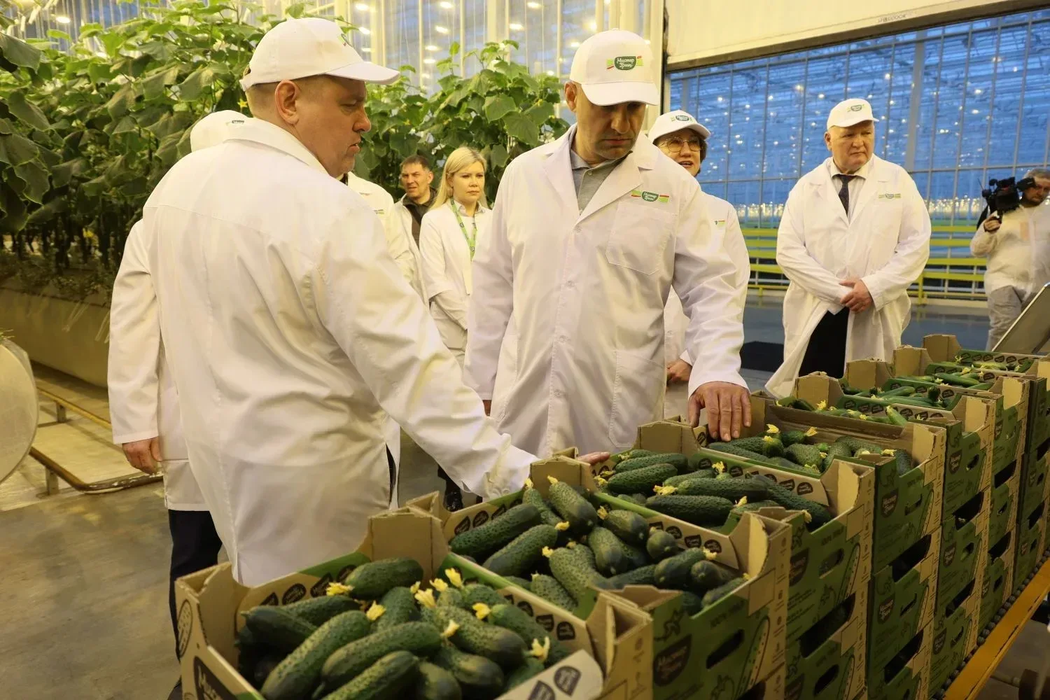 🌱Посетил крупнейшее в Свердловской области производство овощей закрытого грунта. В поселке Садовый в