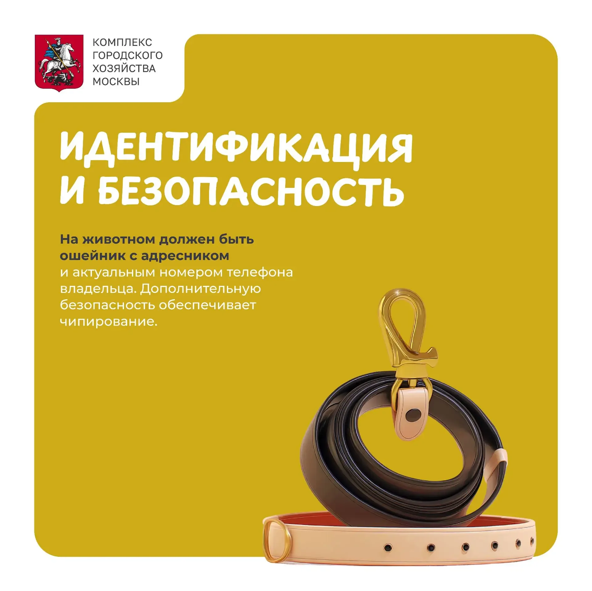 В мае многие горожане традиционно уезжают на дачи. Вместе с ними поближе к природе перебираются и их