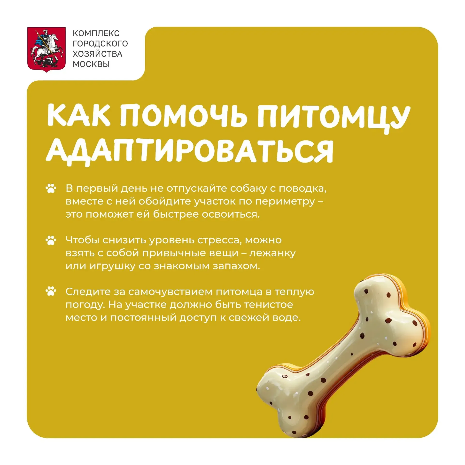 В мае многие горожане традиционно уезжают на дачи. Вместе с ними поближе к природе перебираются и их