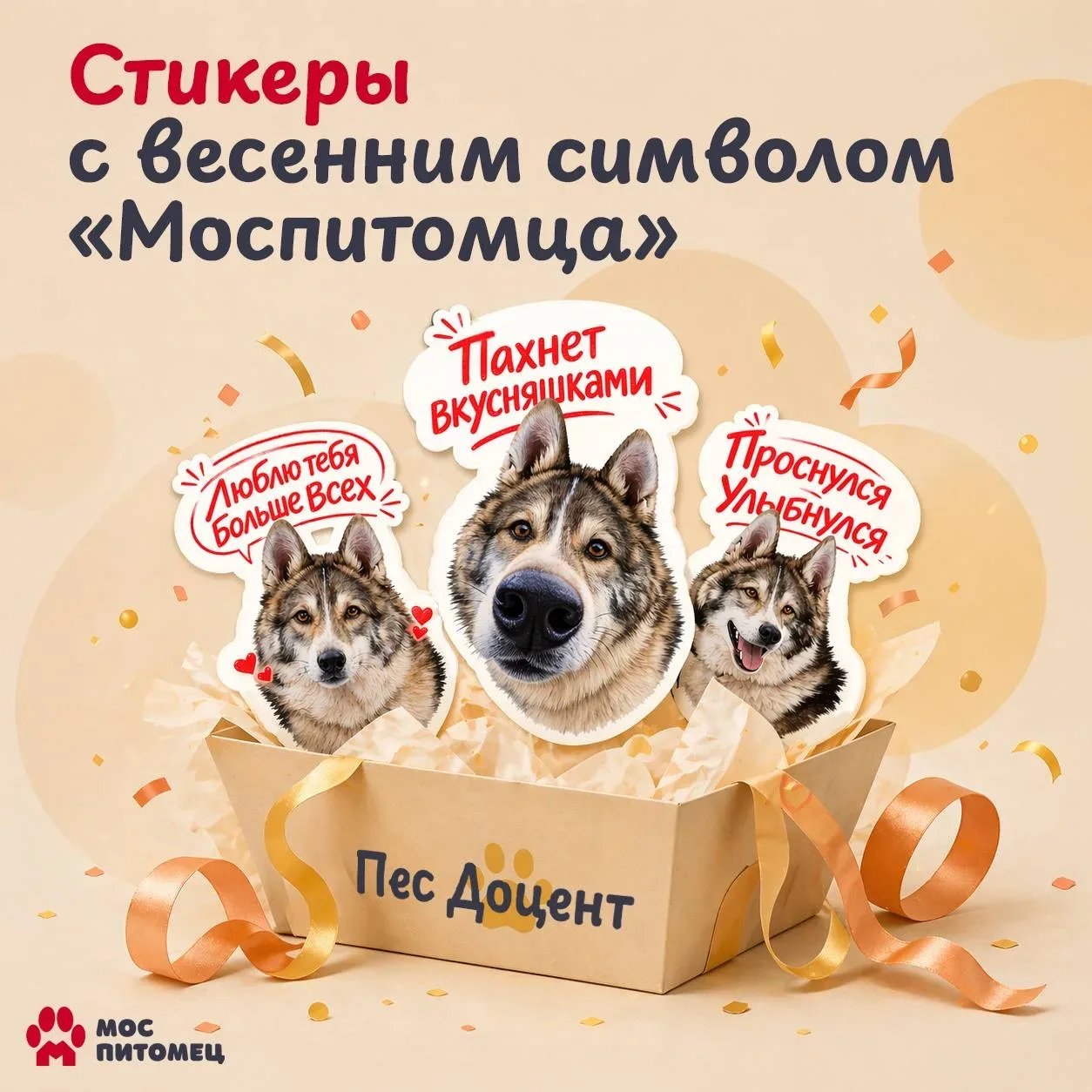 🐶У пса Доцента из приюта «Большой» #САО пока нет дома, но есть собственный стикерпак  Забавные карти