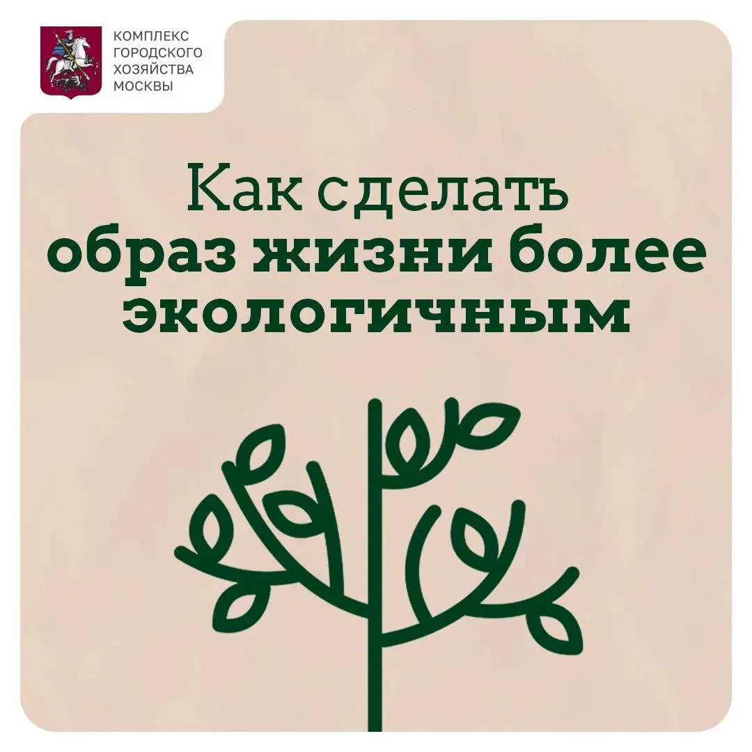 ♻️Сегодня отмечается День экологического образования   Эта дата напоминает, что забота о природе нач