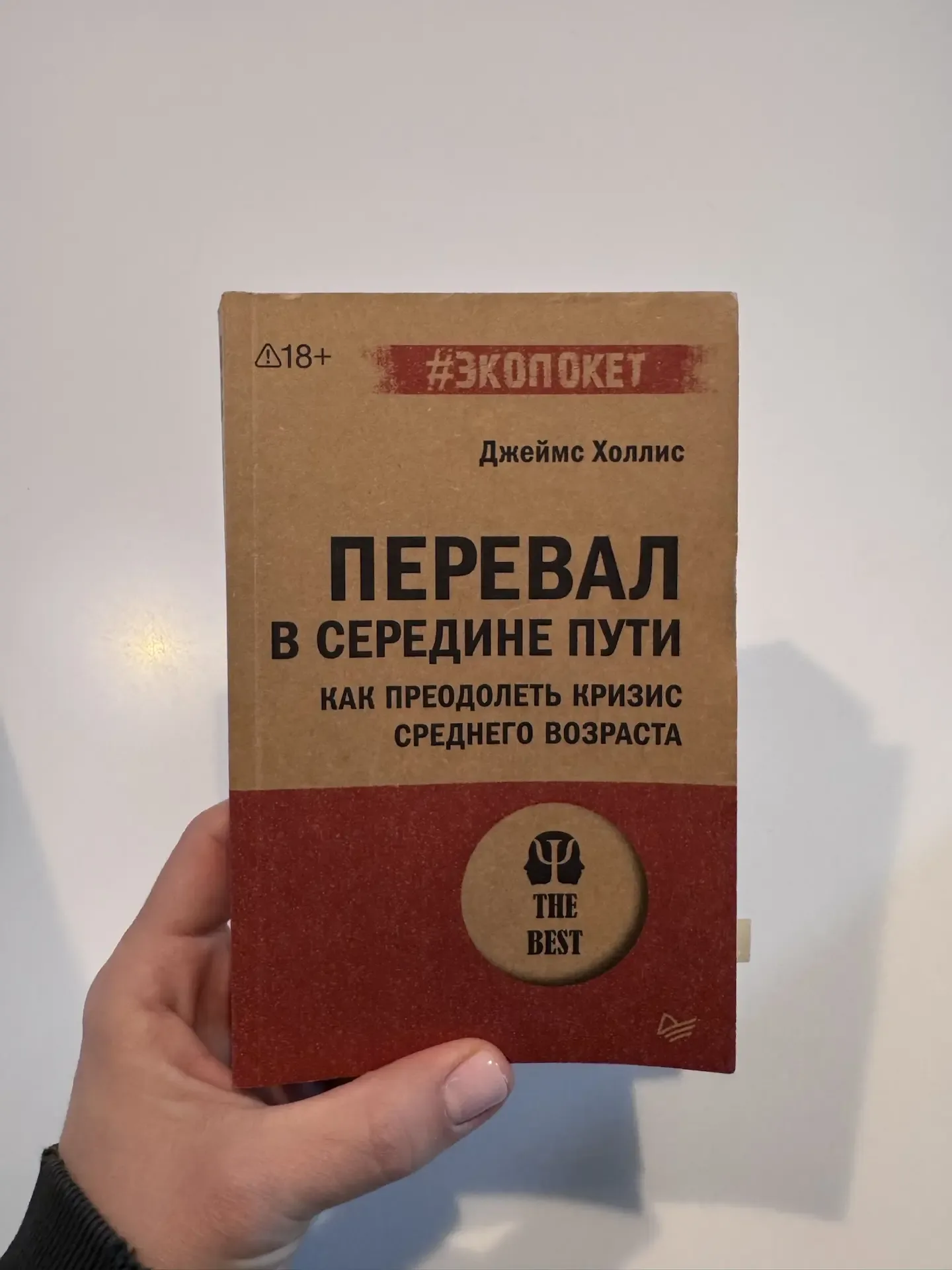 Наконец-то я дочитала хоть что-то! Книга, конечно, специфическая, но что имеем, то имеем)  «Перевал 