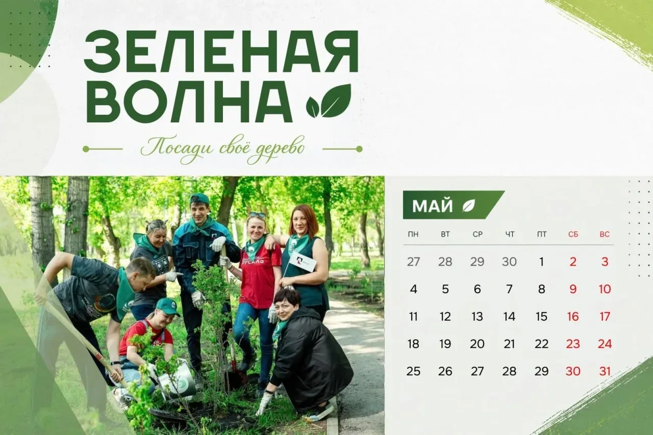 Этот волонтерский проект мы особенно любим. Почему? Ответ прост: деревья и кустарники делают наши го