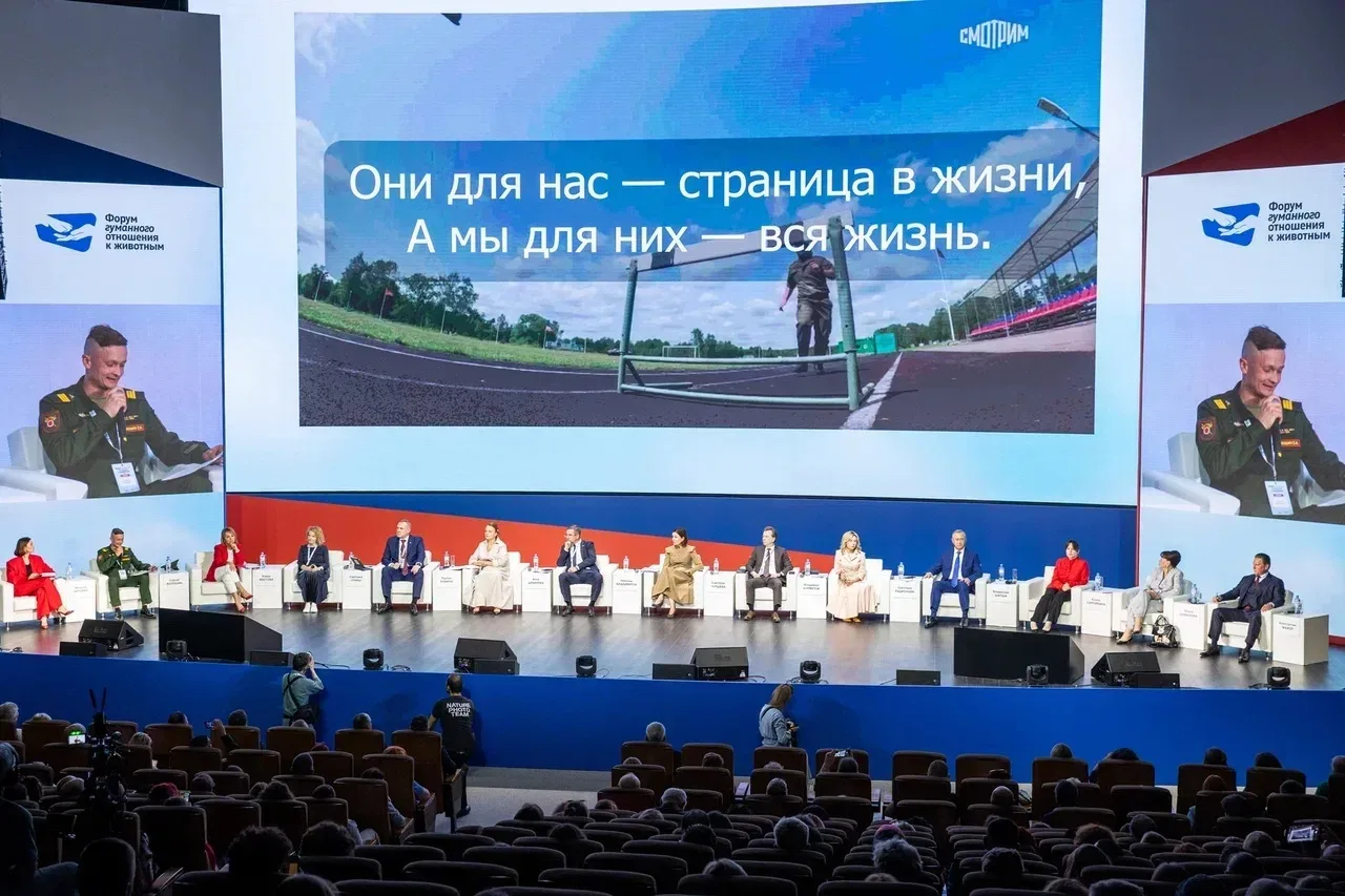 На пленарном заседании Форума гуманного отношения к животным поделилась опытом внедрения новых метод